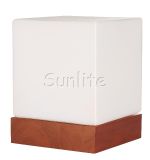 Modern & Simple Square Shade Table Lamp (TB-3033L)