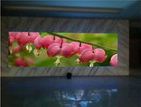 P2.5 Full Color Indoor LED Rental Display