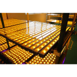 W/Ww/RGB DMX512 Control 24W LED Wall Washer Lamp