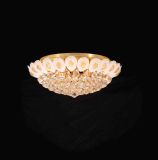 Gold Crystal Decorative Pendant Lamp for Home (cos9182)
