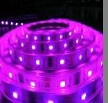 Pink 5050 LED Strip Lights (EL-NS5050PI30)