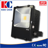 100lm/W, 50W IP65 LED Flood Light/LED Light for Outdoor Light