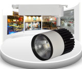 30W LED COB Track Display Spotlight (TJ-QY-CD030)