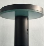 LED Solar Lawn Lamp Garden Light