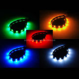 LED Strip Light With Different Color (EL-NS5050Y60)