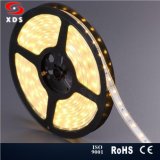 Outdoor IP67 3528 SMD LED Strip for Decoration