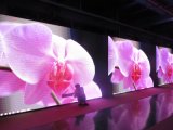 Outdoor Full Color LED Display for Advertisement