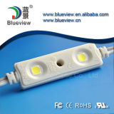Injection 5050 SMD IP65 Waterproof LED Module