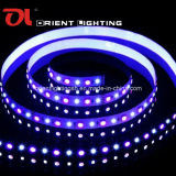 SMD 5060+2835 RGB+W Flexible Strip-96 LEDs/M LED Strip Light