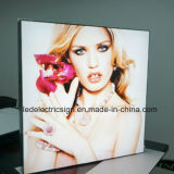 Frameless LED Light Box with Acrylic Sheet for Shopping Mall Jewelry Advertising Display