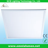 Square Indoor LED Panel Light (BP606048W)