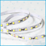 Hot Selling Fulling Color LED Strips with CE