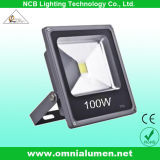 CE, RoHS Outdoor Fitting100W LED Flood Light