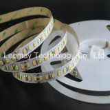 Wholesale Price CCT 2835 300LEDs/M LED Strip Light