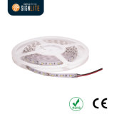 RGB 120LEDs/Meter SMD3528 Non-Waterproof IP33 LED Flexible Strip Light with 1 Year Warranty