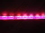 LED 335 Emitting Strip Light (XL-335-Pink)