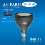 LED PAR30 PAR38 Spotlight High Power CREE 30W 2800lm (P1209530W)