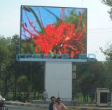 Ultra Bright Outdoor LED Advertising Display (PH-20)