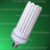 8u Energy Saving Lamp (CFL 8U 801) /8ucompact Fluorescent Light
