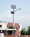Popular 30W Solar LED Street Light