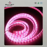LED Strip Light (SL-B1226C30)