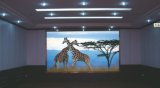 P6 Indoor LED Display/P6 Indoor Full Color LED Display