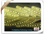 SMD3528 120LEDs/M 48W Per Roll Waterproof LED Strip Lights