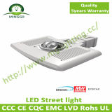 40W LED COB Street Light with Outdoor Lamp