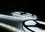 IP68 High Quality LED Strip Light/ Light Strip (HX-5050-60RGB)