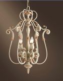 Anemone European Style Chandelier Lamp (FC1053)