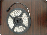 IP65 5050 LED Strip Light with DC Connector