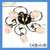 Quick Delivery Chandelier for 30 Days Only (MX010)