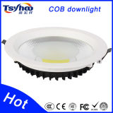 China Supplier Hot New Products LED Down Light