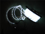 LED Outdoor Rope Light