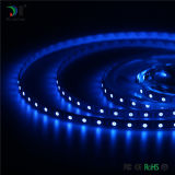 5050 30PCS/M LED Strip Light