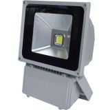 120W Meanwell Driver/CE RoHS LED Outdoor/Flood Light