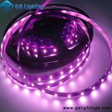 Pink Color LED Strip Light