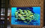 P8 Indoor Full Color LED Display/Indoor Full Color LED Display