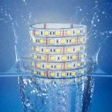 12V 5050 Waterproof LED Light Strips