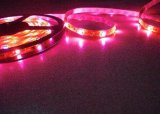 LED Strip Light, Rope Light, Flexible Light (YLS-5050-60)
