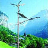 CCC, ISO Energy Saving Wind Hybrid Solar Street Light LED Light (JS-C2015121250)