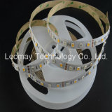 Factory Price 24volt Waterproof RGBW 5050 LED Strip Light