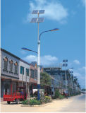 180W LED Solar Street Light (SYH-7301)