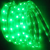 LED Strip (3528/60-220/110V) , LED Strip Light