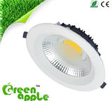10W Bridgelux COB LED Down Light with CE RoHS