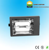 Induction Flood Light with 40W, 60W for Energy Saving Lamp (LG0550-1)
