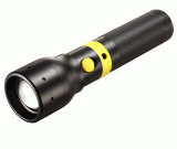 Torches and Flashlight (595-C-21)