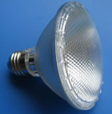 Low Power LED Spotlight (PAR30)