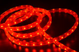 Red Color LED Rope Light with Various Choice