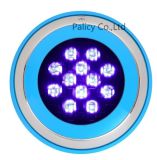 LED Underwater Swimming Pool Light with Two Years Warranty (6002H)